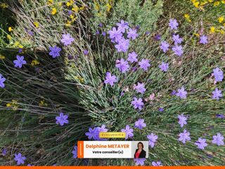  Terrain � vendre 19030 m�