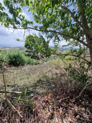  Terrain à vendre 1595 m²