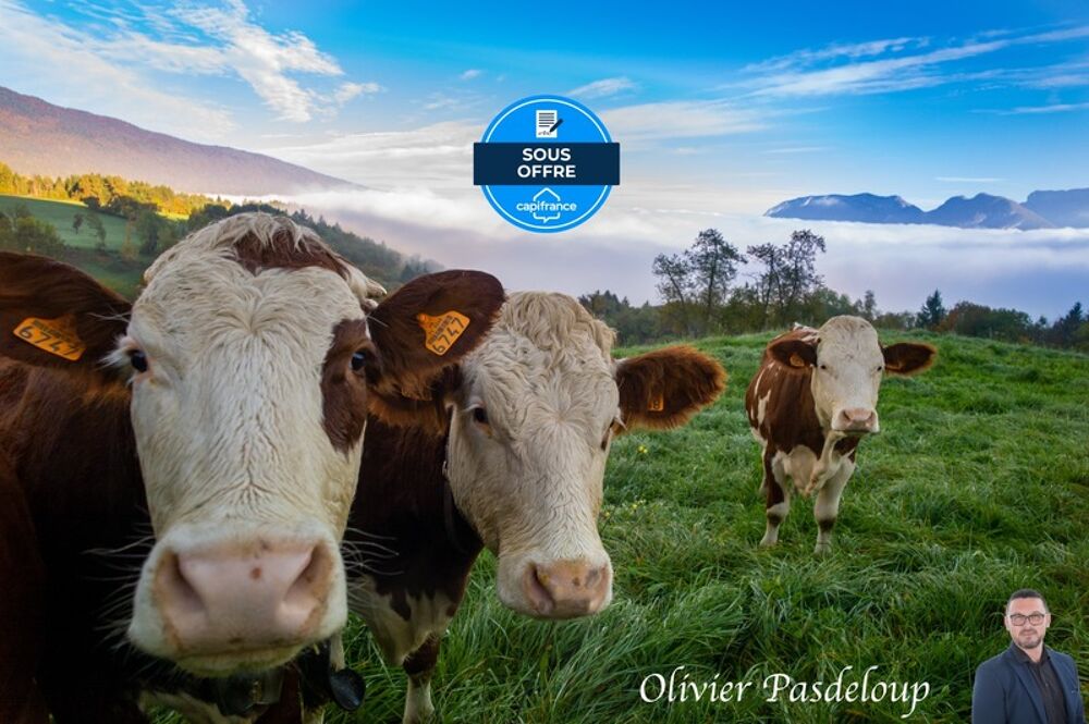 Vente Ferme Bâtiment agricole à vendre à ANTULLY (71) Antully