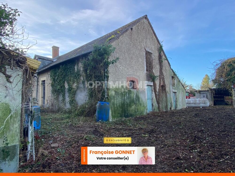 Vente Maison SALIGNY LE VIF - 18800 - MAISON à RENOVER - 100 m² - 17 000 € Saligny le vif