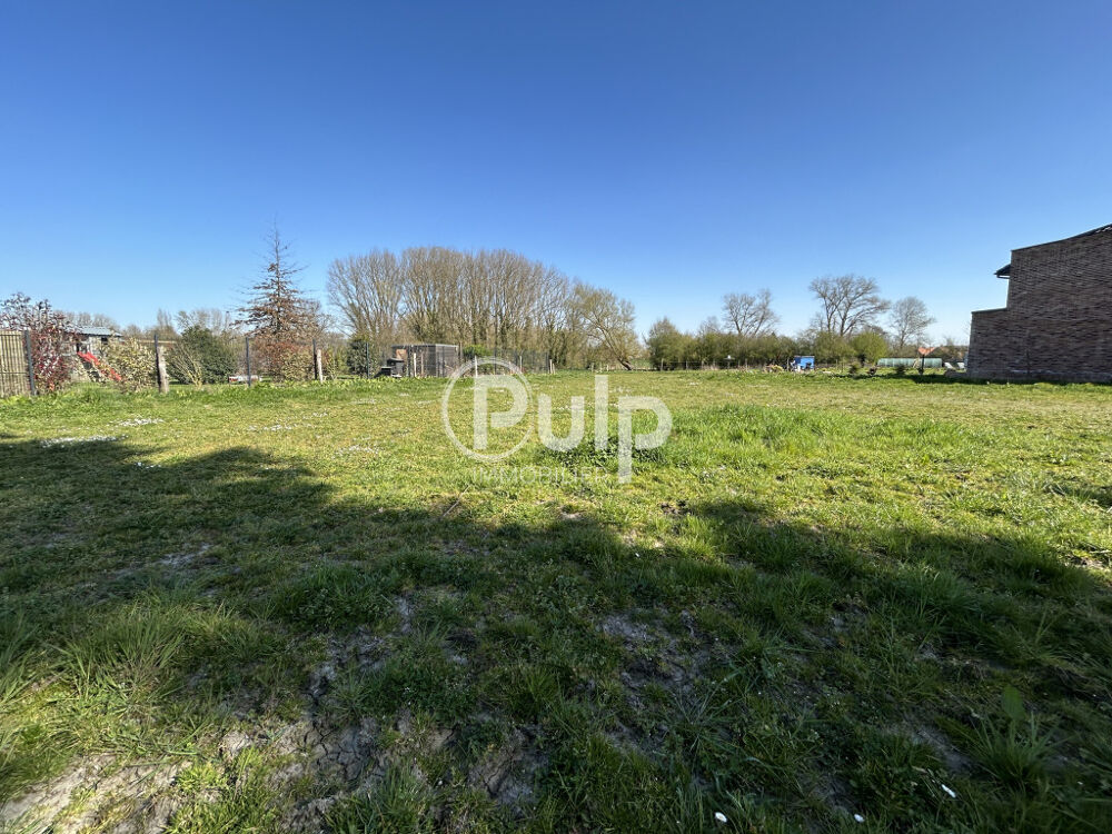 Vente Terrain Terrain � b�tir secteur pris� Cobrieux