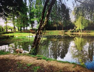  Propri�t�/ch�teau � vendre 11 pi�ces 326 m�