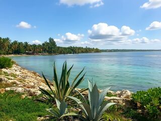  Appartement � vendre 2 pi�ces 45 m�