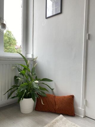  Maison à louer 2 pièces 35 m² Lille