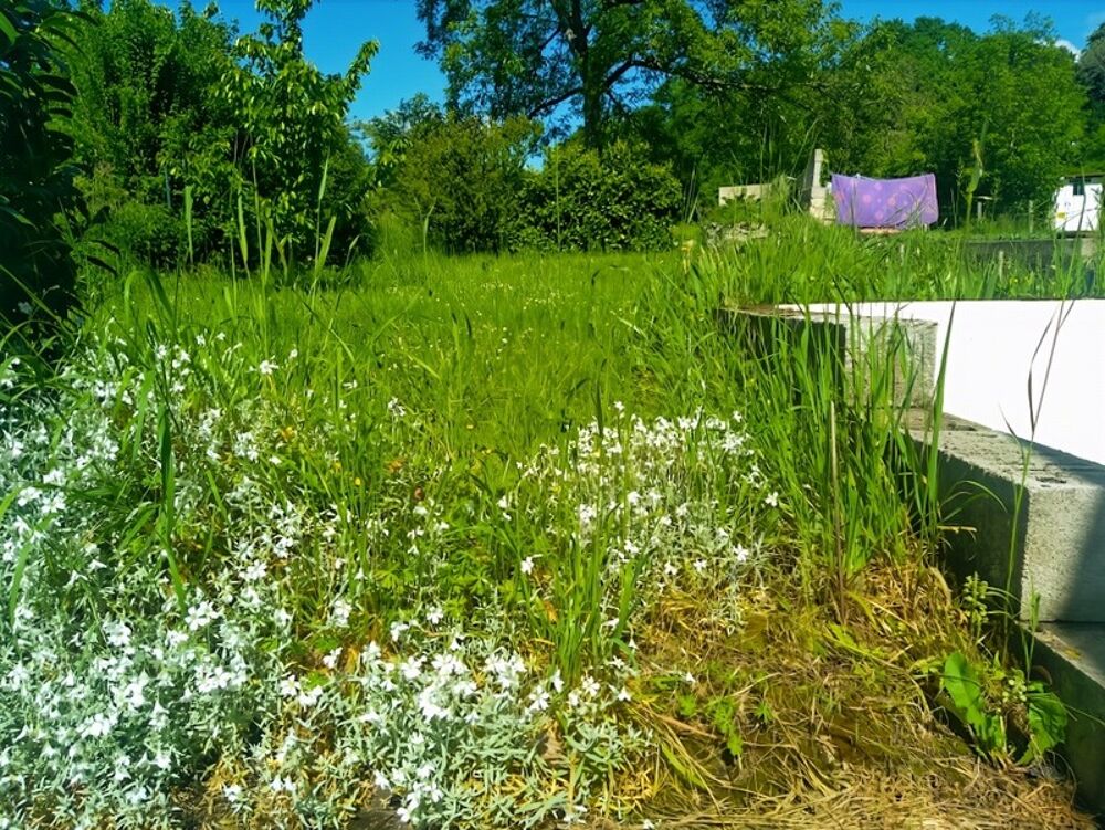 Vente Maison Maison de village au calme avec grange Pisseloup