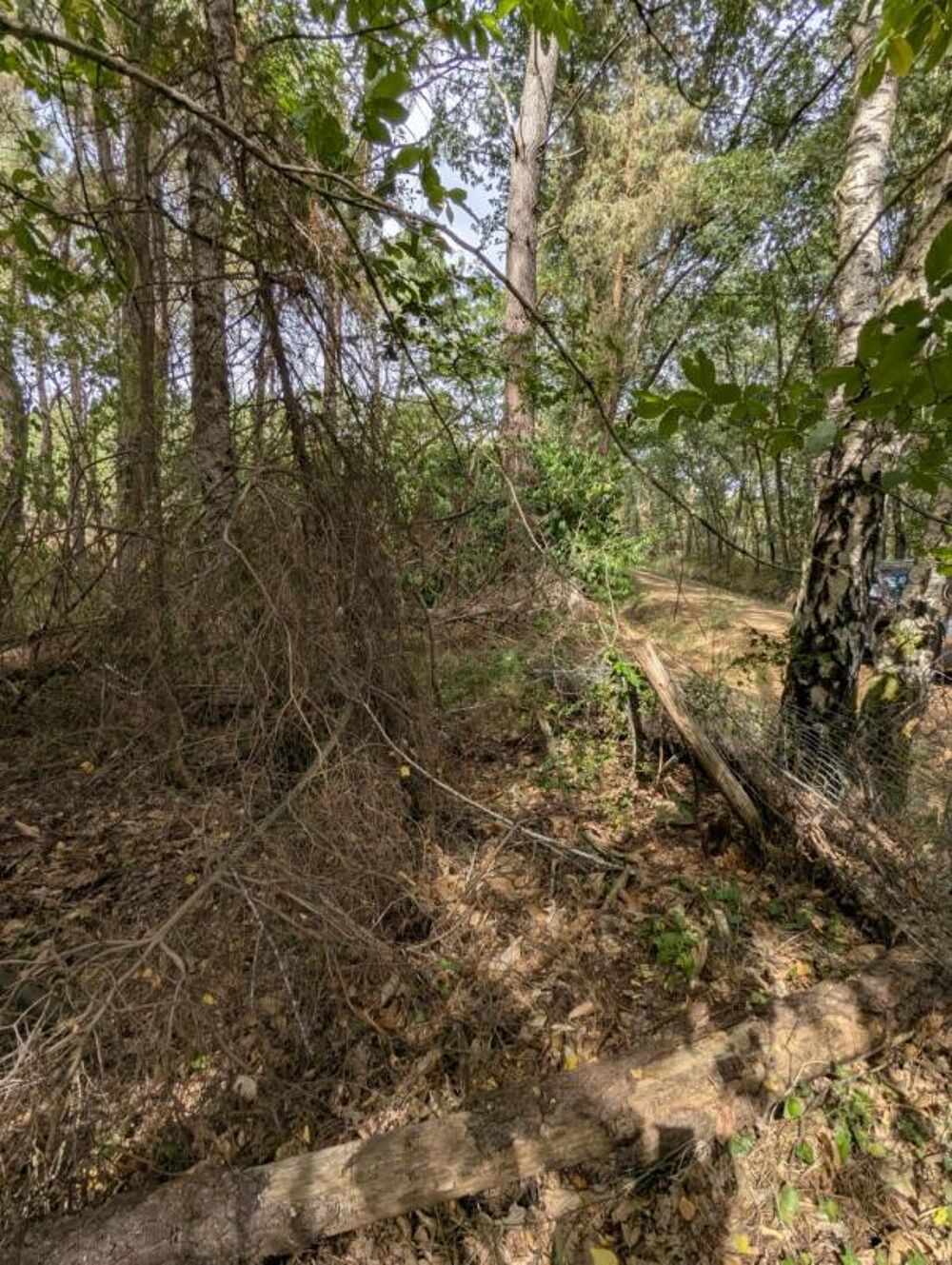 Vente Terrain Terrain à vendre de 2 187,00 m² MEZERAY (72) Mezeray