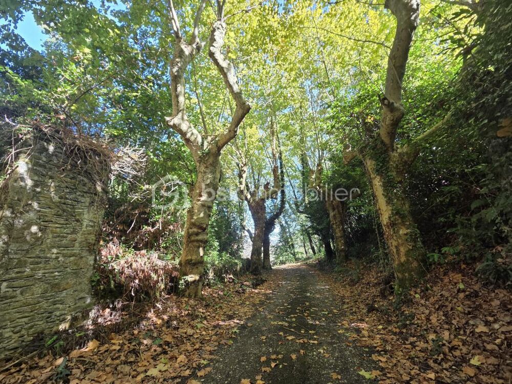 Vente Immeuble Domaine d'exception avec pigeonnier habitable et château historique Navarrenx