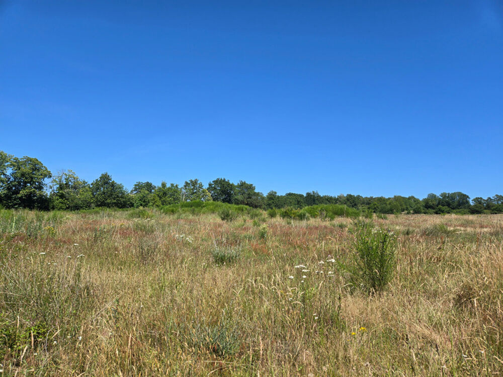 Vente Terrain 90 HECTARES DE TERRE AGRICOLE Oradour sur vayres