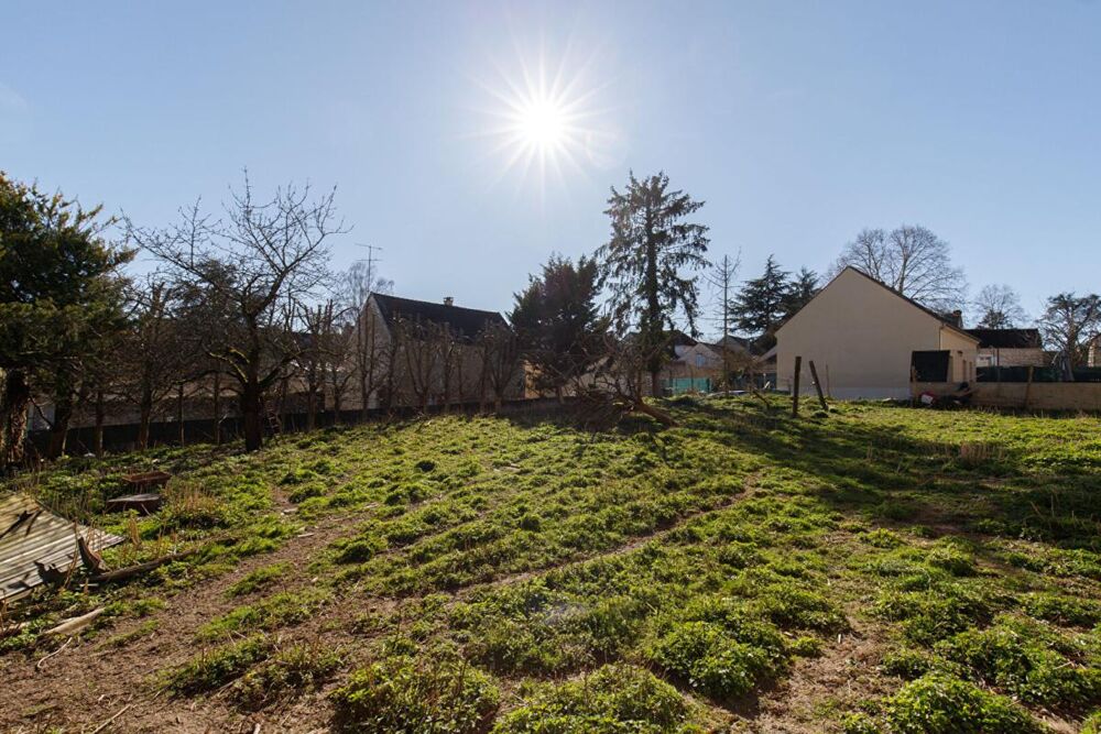 Vente Terrain EXCLUSIVITÉ PROPRIÉTÉS-PRIVÉES: Terrain constructible sur Longuesse Longuesse