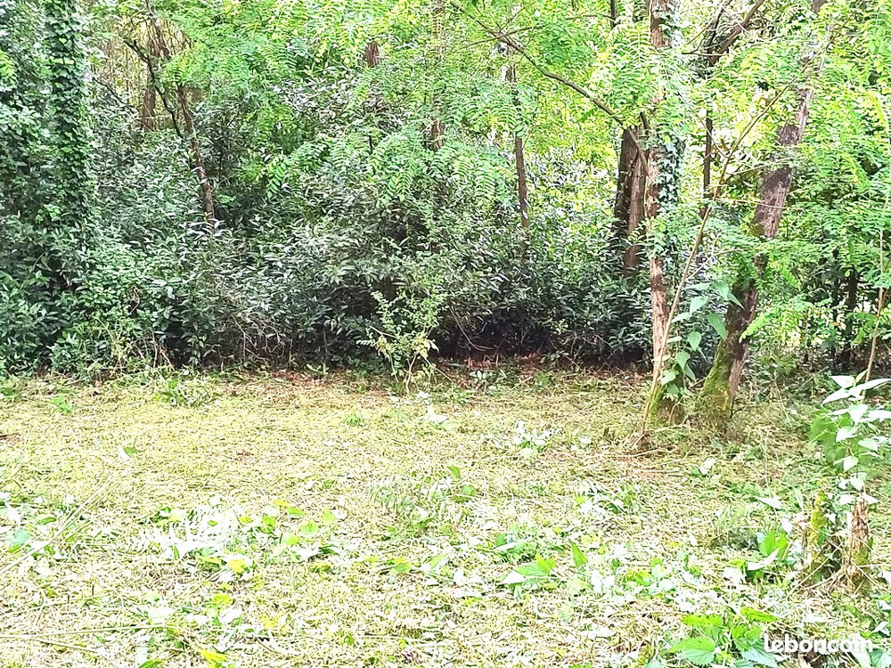 Vente Terrain Terrain  558 m2 Pessac