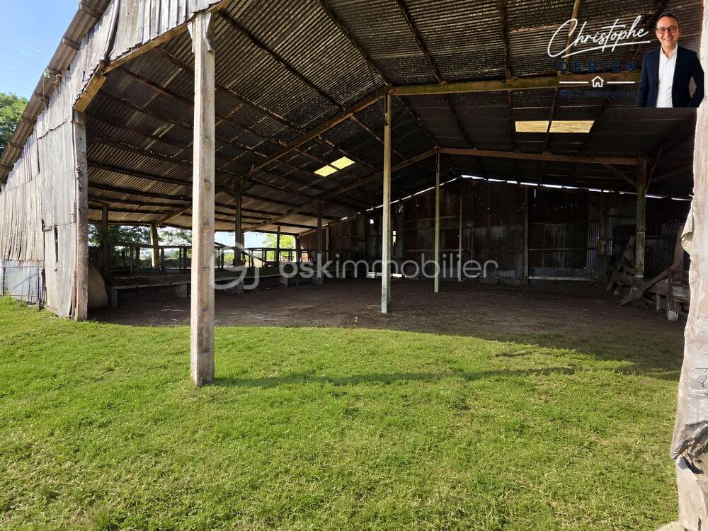 HANGAR DE 350 m²  TERRAIN DE 2 973 m²  ZONE AGRICOLE  FORT POTENTIEL