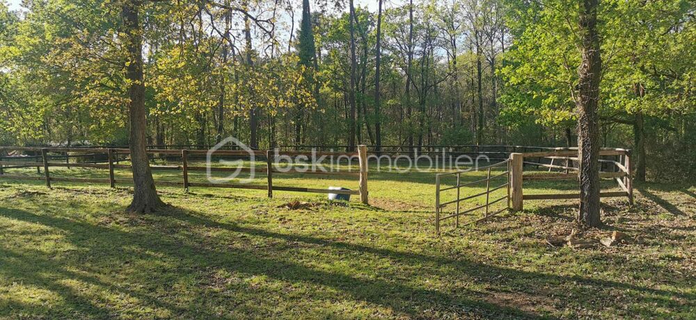 Vente Propriété/Château Propriété équestre avec fort potentiel professionnel – 8 hectares au calme Lombron