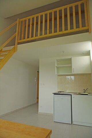  Appartement à louer 1 pièce 30 m²