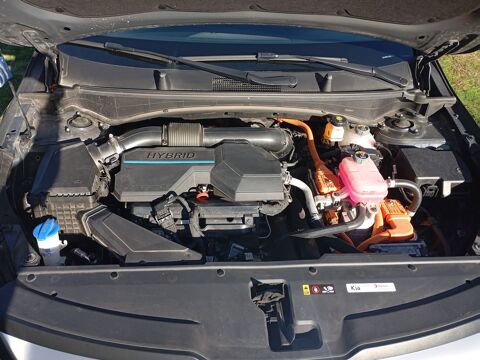 Sportage V 1.6 T-GDi 215 ISG Hybrid 4X2 BVA6 Active - Automatique 2024 occasion 14740 Thue Et Mue