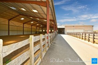  Maison � vendre 8 pi�ces 216 m�