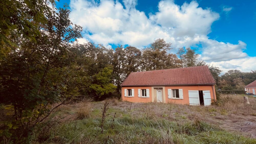 Vente Maison PAVILLON DE PLAIN-PIED 3 CHAMBRES DOUBLE SEJOUR ET JARDIN LA CHARITE SUR LOIRE (58) proche NEVERS La charite sur loire