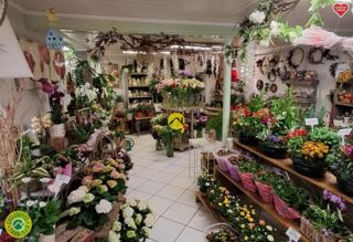  Appartement  vendre 5 pices 71 m