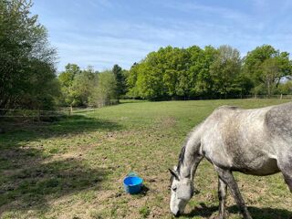  Maison � vendre 7 pi�ces 217 m�