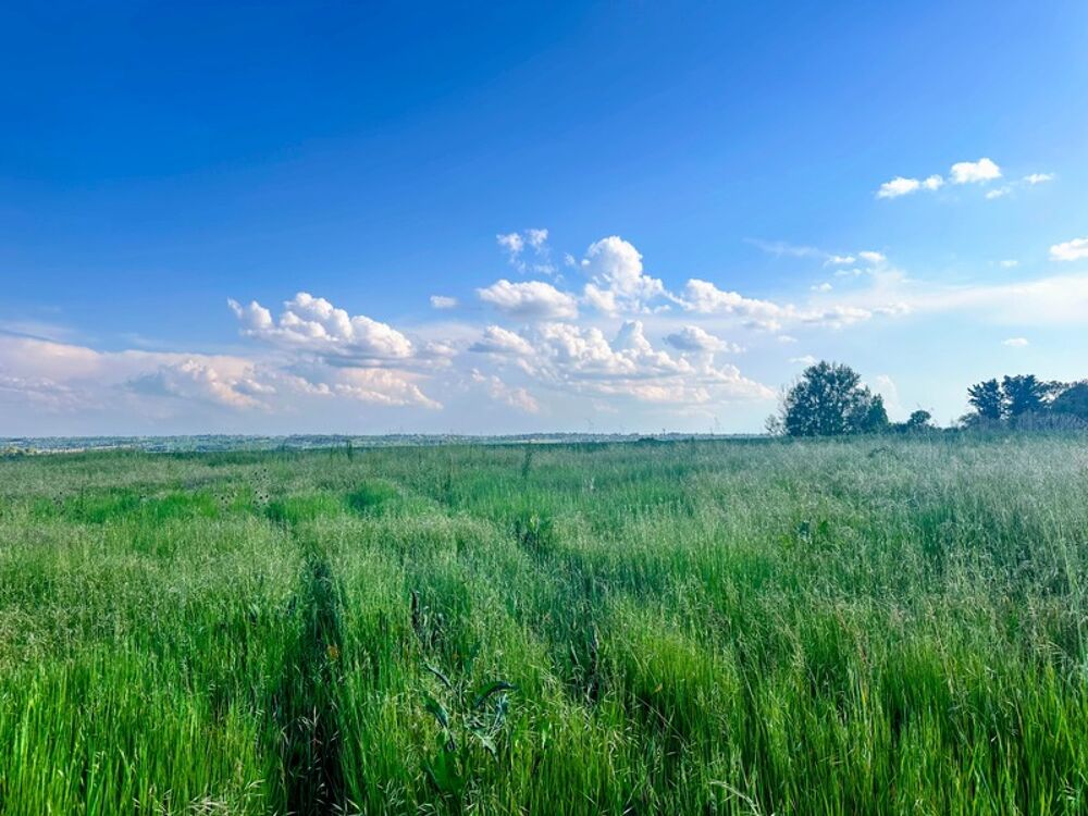 Vente Terrain EXCLUSIVITÉ - Terrain à bâtir – 840 m² Bazus