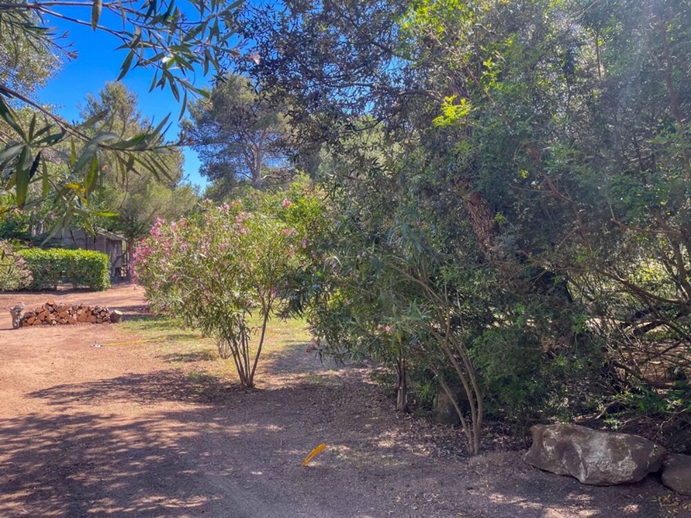 Vente Terrain Terrain à vendre 525 m2 Abbartello- Olmeto plage (20) Olmeto