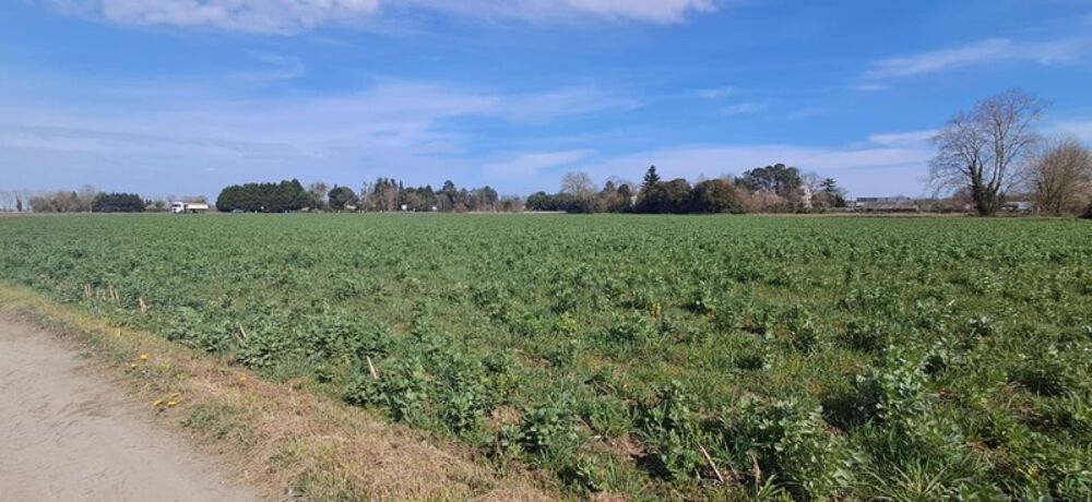 Vente Terrain Terrain à vendre 9069 m2 Borderes sur l echez