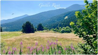  Terrain à vendre 1 pièce 332 m²