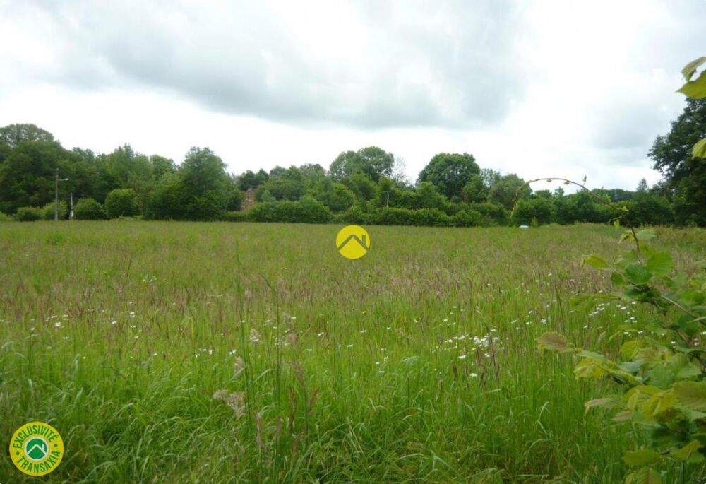 Vente Terrain 9808 M² A BATIR 5 MNS COLLEGE PROCHE ECOLE ELEC OK Dun le palestel
