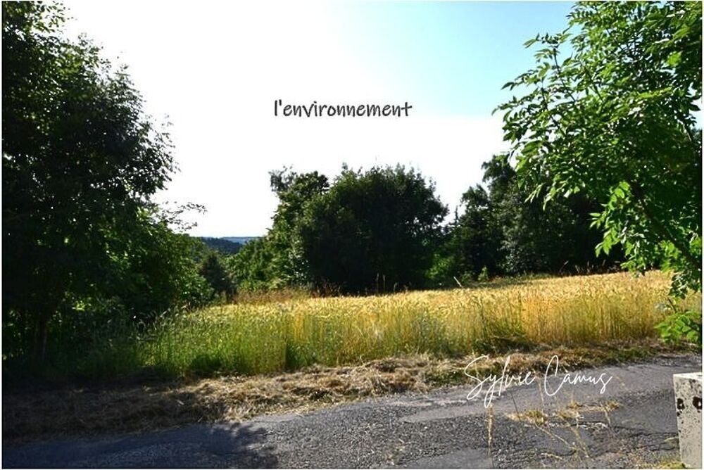 Vente Terrain Terrain à vendre de 1 300,00 m² SAINT PAL DE MONS (43) Saint pal de mons