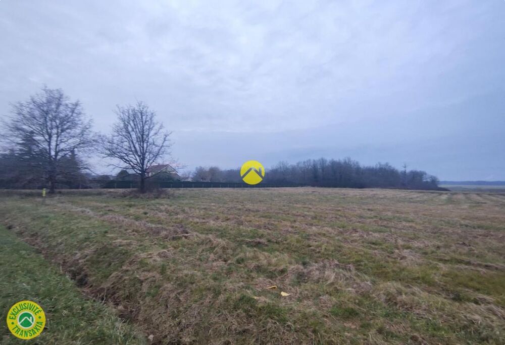 Vente Terrain TERRAIN A BATIR 2471m² Tracy sur loire