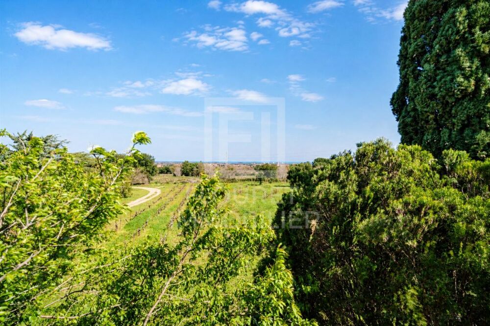 Mas catalan sur 3 hectares - Projet de vie, nature, vue mer & Albères
