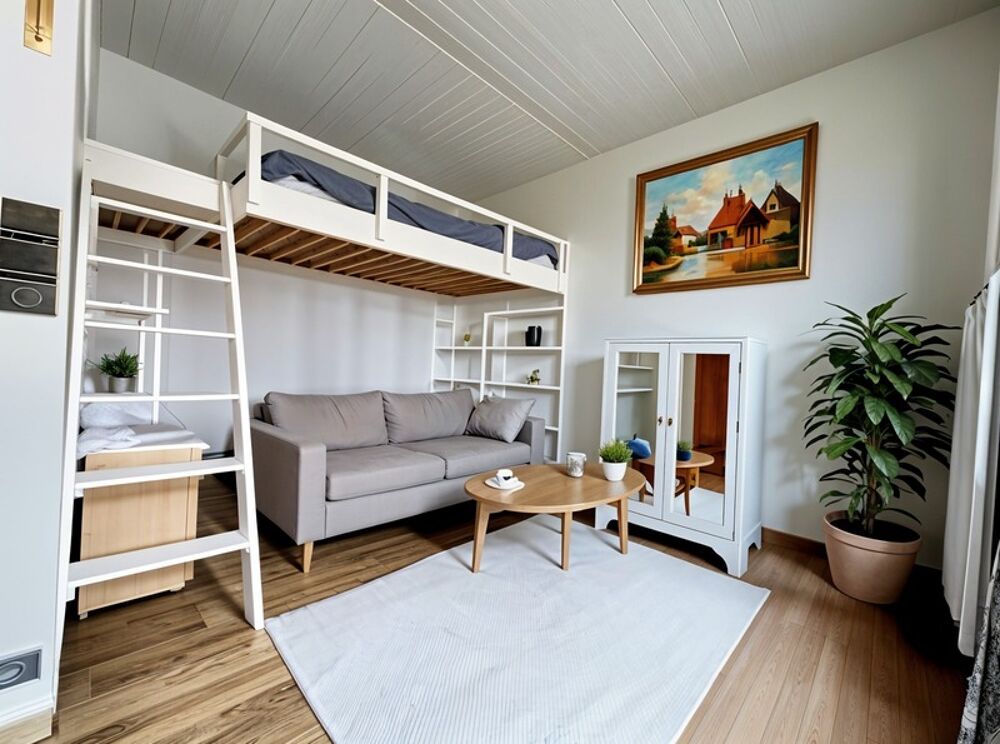 Vente Appartement ISSY LES MOULINEAUX  -92130 - APPARTEMENT- L'ÎLE-SAINT-GERMAINS - CAVE - RER C - T2 -FUTURE LIGNE 15 Issy les moulineaux