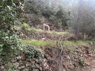  Terrain  vendre 3684 m