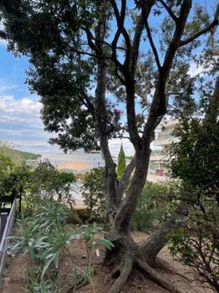  Appartement � vendre 1 pi�ce 25 m�