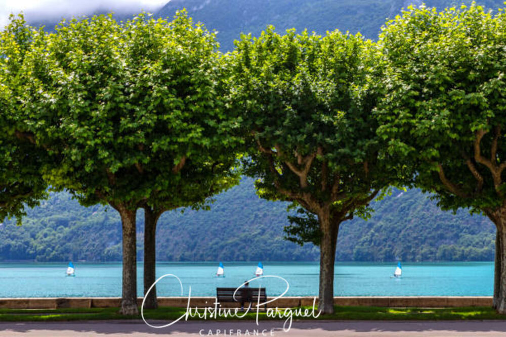 Vente Appartement Magnifique Appartement 3 pièces - 78m2 + 15m2 Terrasse - Côté LAC - AIX LES BAINS Aix les bains