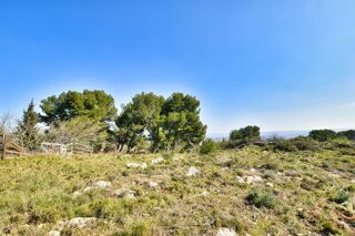  Terrain à vendre 3865 m²
