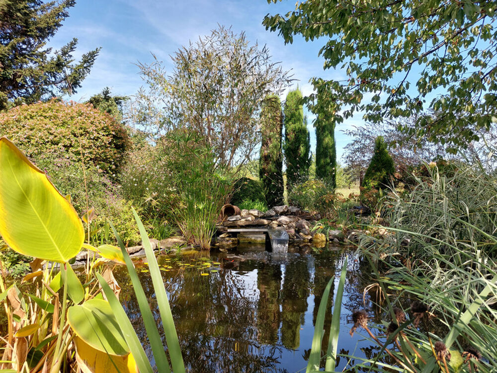 Vente Maison Maison à vendre 7 pièces MONTAUBAN (82) avec chambres d'hôtes, piscine, jardin et dépendance Montauban