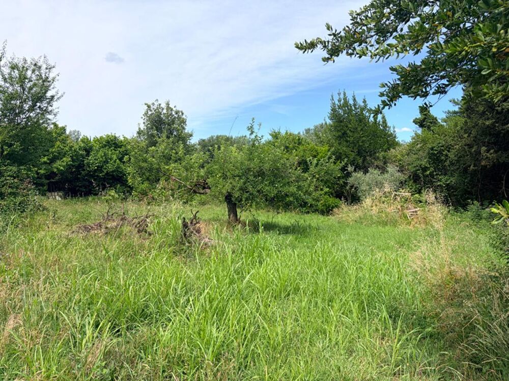 Vente Terrain Terrain  agricole de 260 m2 Saint-Hilaire d'Ozilhan 12500 Saint hilaire d ozilhan