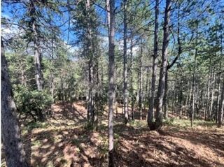  Terrain à vendre 3577 m²