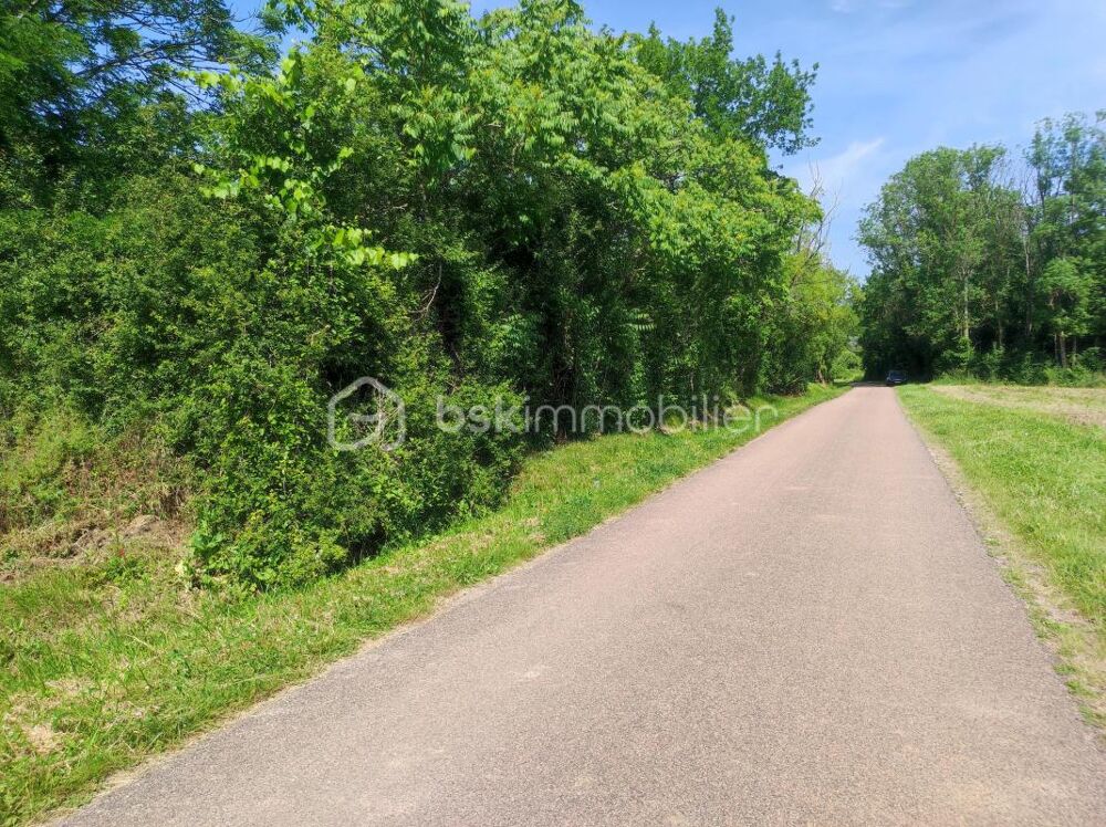 Vente Terrain ? Terrain constructible de 3 630 m² – Cadre boisé et environnement privilégié Saint florentin