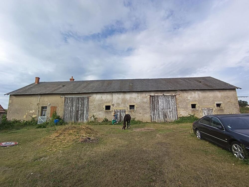 Vente Maison SAINT-PIERRE-LE-MOUTIER - FERME AVEC 2 HA Saint pierre le moutier