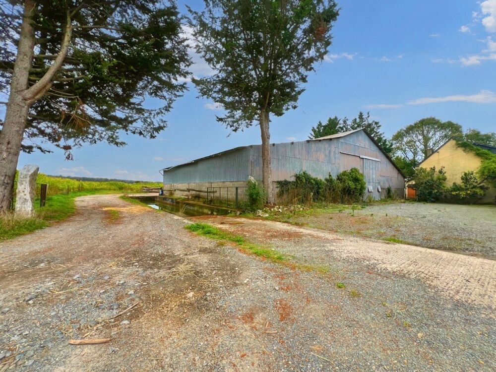 Vente Maison Maison à vendre 5 pièces  (49) avec de nombreuses dépendances habitables Tierce