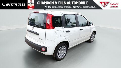 Panda MHEV 70 2025 occasion 42320 La Grand-Croix