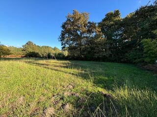  Terrain à vendre 800 m²