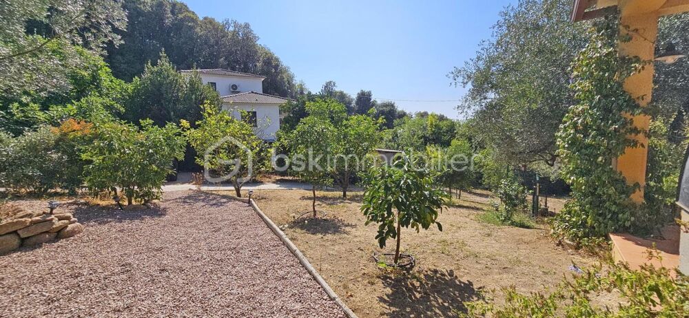 � vendre  Maison Ajaccio (20000)