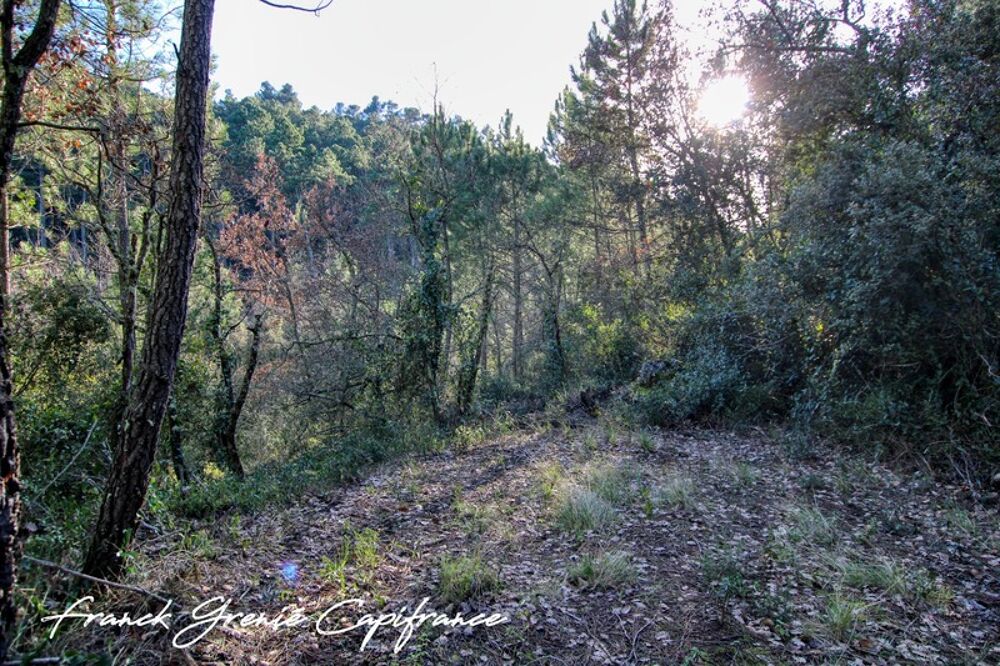 Vente Terrain Terrain naturel 55050m²  TOURVES (83) Tourves