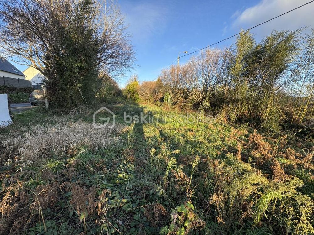 Vente Terrain TERRAIN CONSTRUCTIBLE NON VIABILISÉ DE 493M² À OCTEVILLE Cherbourg octeville
