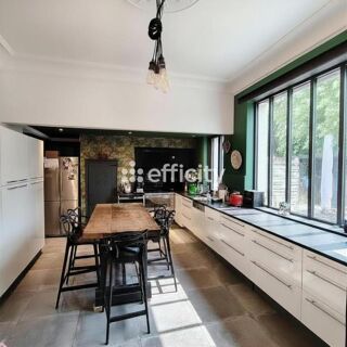  Propriété/château à vendre 10 pièces 258 m²