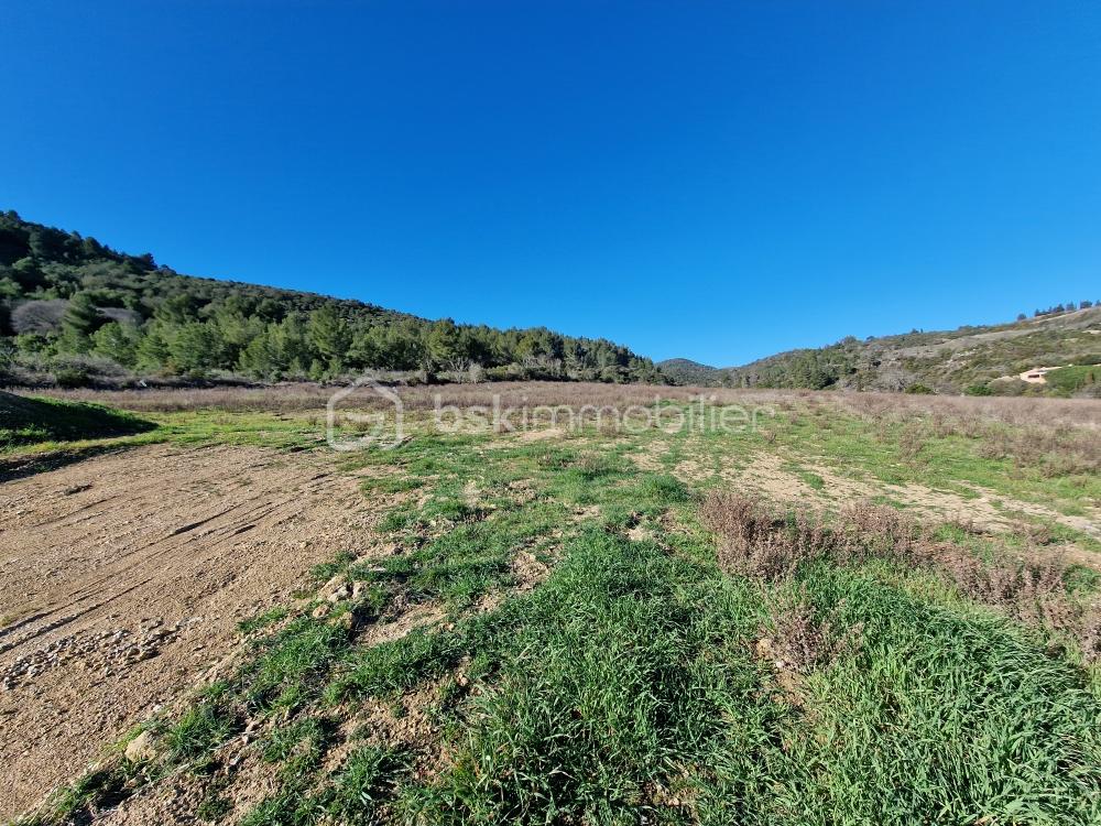 Vente Terrain TERRAIN CONSTRUCTIBLE VIABILISÉ DE 3160 M² Embres et castelmaure