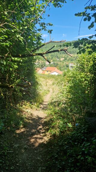  Terrain à vendre 6835 m²