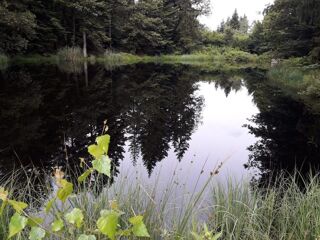  Terrain � vendre 9200 m�